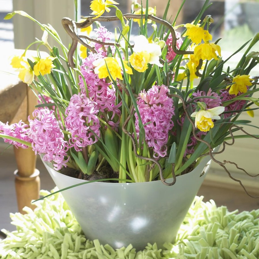 Toto aranžmá navodí náladu prvních prosluněných jarních dní. Narcisy jsou zkombinovány s růžovými hyacinty a větvičkami lísky.